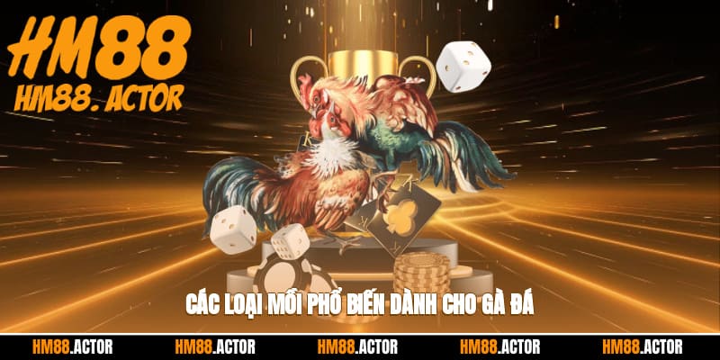 Các loại mồi phổ biến dành cho gà đá
